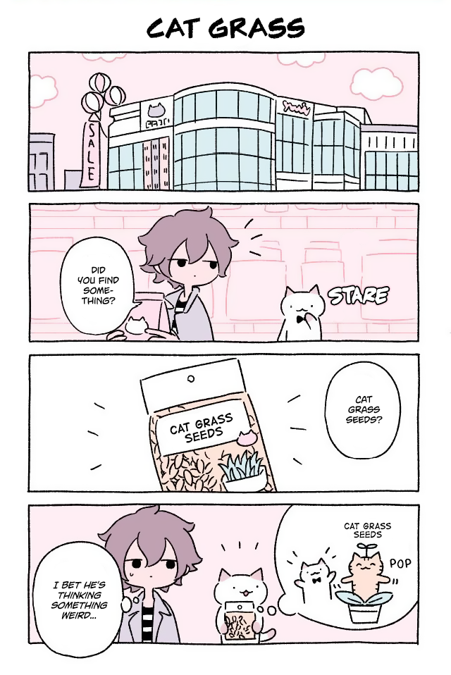 Wonder Cat Kyuu-chan Chapter 44 1